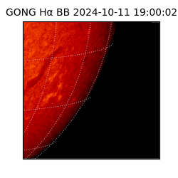 gong - 2024-10-11T19:00:02