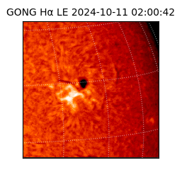 gong - 2024-10-11T02:00:42