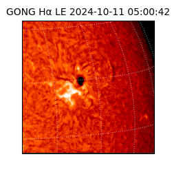 gong - 2024-10-11T05:00:42