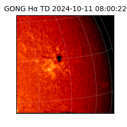 gong - 2024-10-11T08:00:22