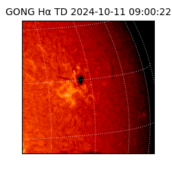 gong - 2024-10-11T09:00:22