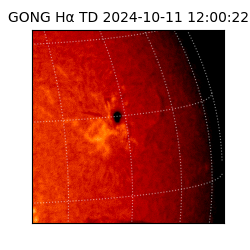 gong - 2024-10-11T12:00:22