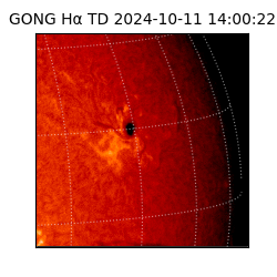 gong - 2024-10-11T14:00:22