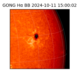 gong - 2024-10-11T15:00:02