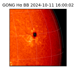 gong - 2024-10-11T16:00:02