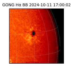 gong - 2024-10-11T17:00:02