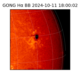 gong - 2024-10-11T18:00:02