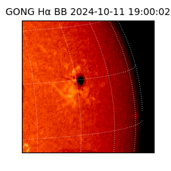 gong - 2024-10-11T19:00:02