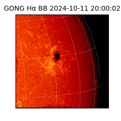 gong - 2024-10-11T20:00:02