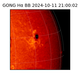 gong - 2024-10-11T21:00:02