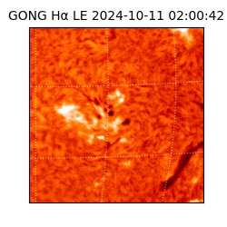 gong - 2024-10-11T02:00:42