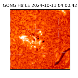 gong - 2024-10-11T04:00:42