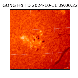 gong - 2024-10-11T09:00:22