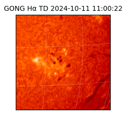 gong - 2024-10-11T11:00:22