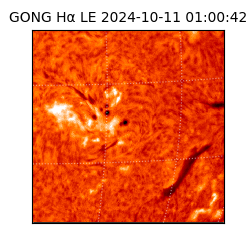 gong - 2024-10-11T01:00:42