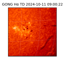 gong - 2024-10-11T09:00:22