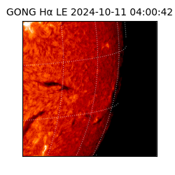 gong - 2024-10-11T04:00:42