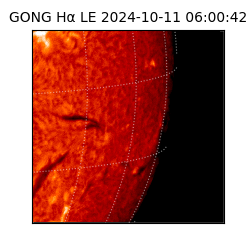 gong - 2024-10-11T06:00:42