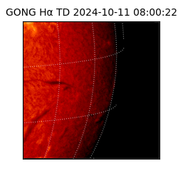 gong - 2024-10-11T08:00:22