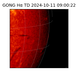 gong - 2024-10-11T09:00:22