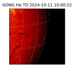 gong - 2024-10-11T10:00:22