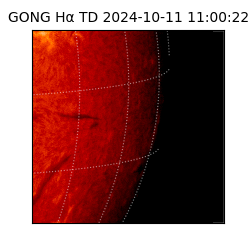 gong - 2024-10-11T11:00:22