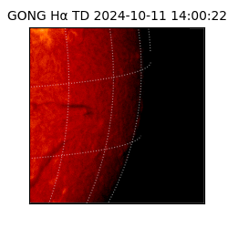 gong - 2024-10-11T14:00:22