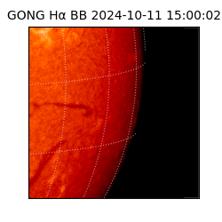 gong - 2024-10-11T15:00:02