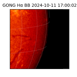 gong - 2024-10-11T17:00:02