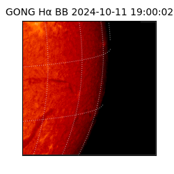 gong - 2024-10-11T19:00:02