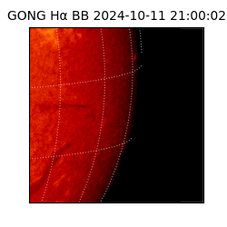 gong - 2024-10-11T21:00:02