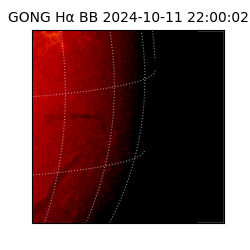 gong - 2024-10-11T22:00:02