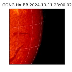 gong - 2024-10-11T23:00:02