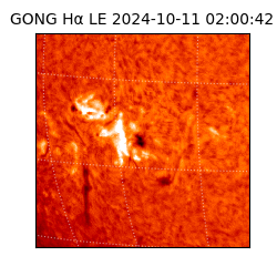 gong - 2024-10-11T02:00:42