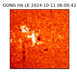 gong - 2024-10-11T06:00:42