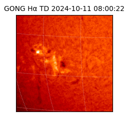 gong - 2024-10-11T08:00:22