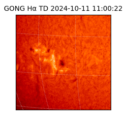 gong - 2024-10-11T11:00:22