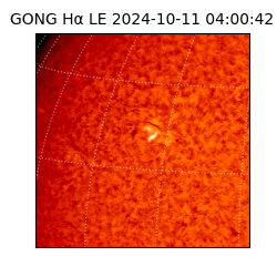 gong - 2024-10-11T04:00:42