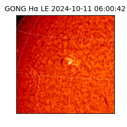 gong - 2024-10-11T06:00:42