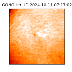 gong - 2024-10-11T07:17:02