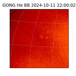 gong - 2024-10-11T22:00:02