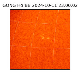 gong - 2024-10-11T23:00:02