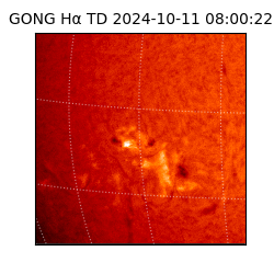 gong - 2024-10-11T08:00:22