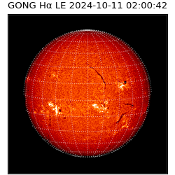 gong - 2024-10-11T02:00:42