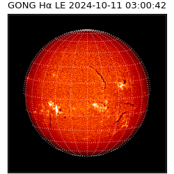 gong - 2024-10-11T03:00:42