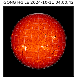 gong - 2024-10-11T04:00:42