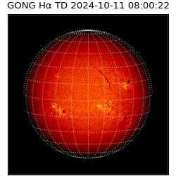 gong - 2024-10-11T08:00:22