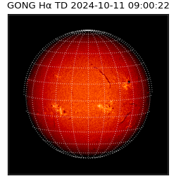 gong - 2024-10-11T09:00:22