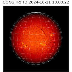 gong - 2024-10-11T10:00:22