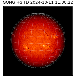 gong - 2024-10-11T11:00:22
